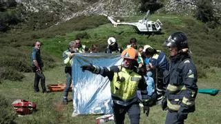 Grave accidente en Covadonga (Asturias) al despeñarse un autobús con niños que iba a los Lagos