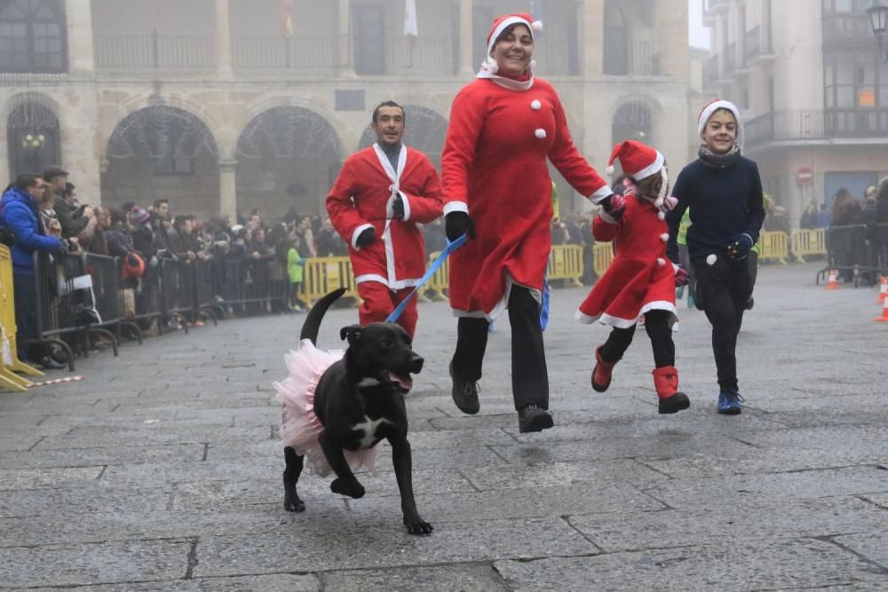 San Silvestre Zamora