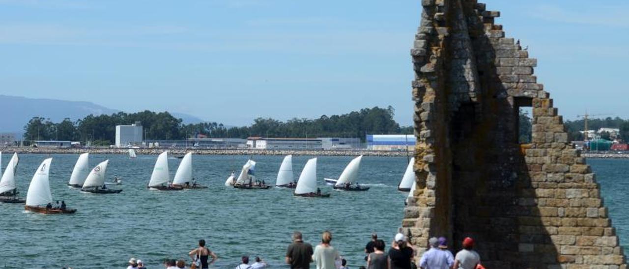 Un grupo de dornas navegando pola ría de Arousa este verán.