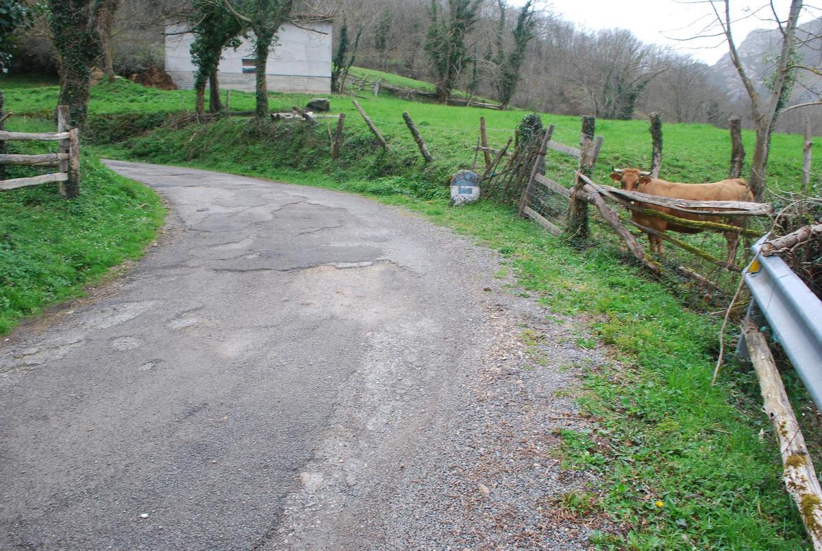Los vecinos exigen arreglar la carretera de Abiegos (Ponga)