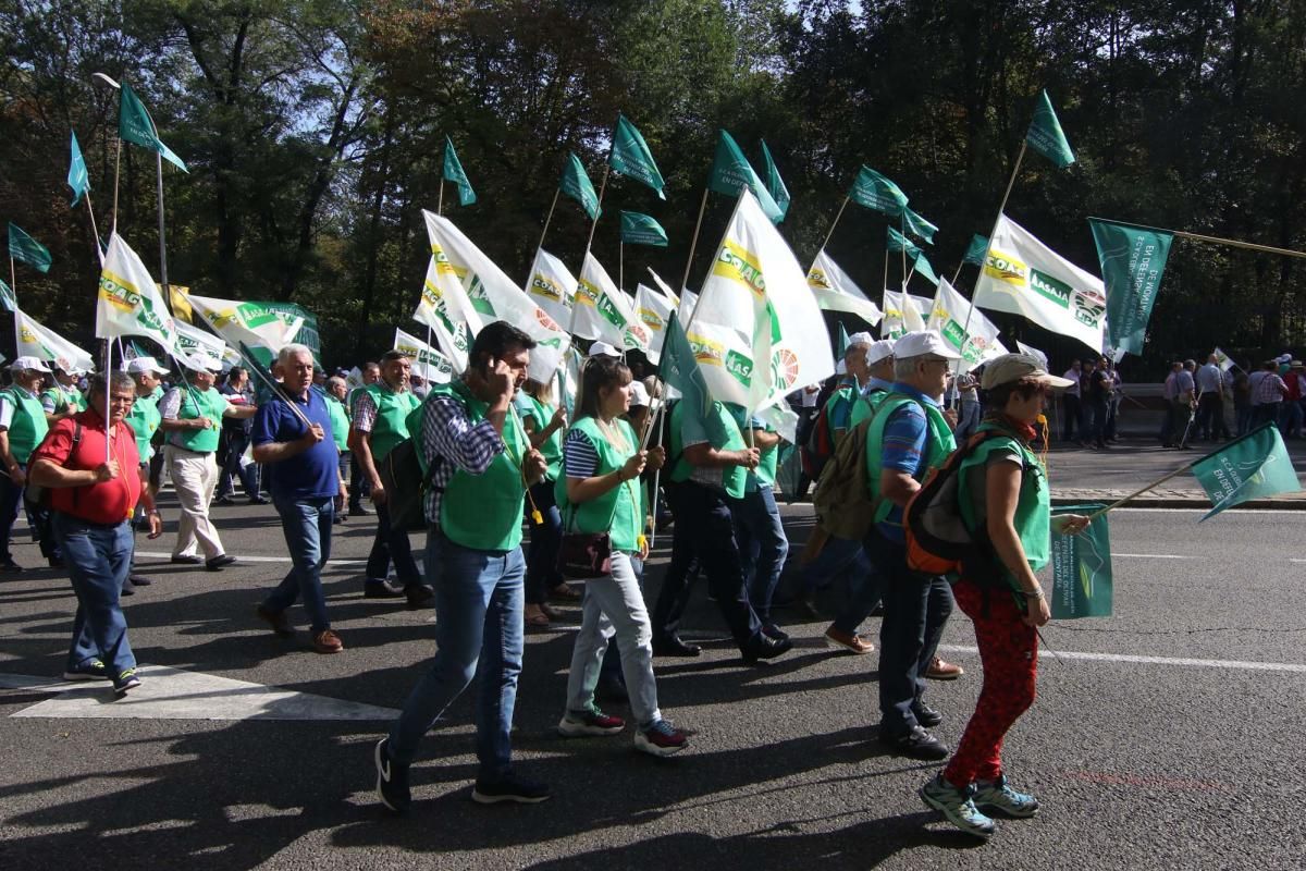 Córdoba se suma a la gran manifestación del olivar en Madrid