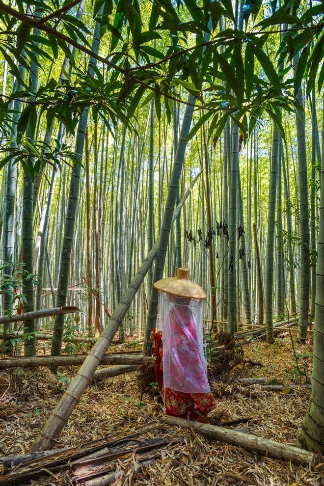Peregrina ataviada al modo tradicional en un bosque de bambú