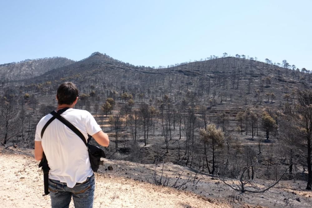 Así ha quedado la zona tras el incendio.