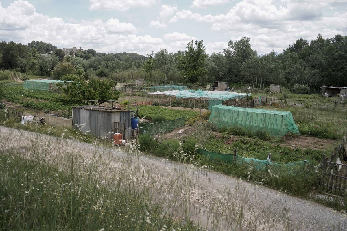 Imatge de la Font, a Callús, on es vol fer una nova zona verda