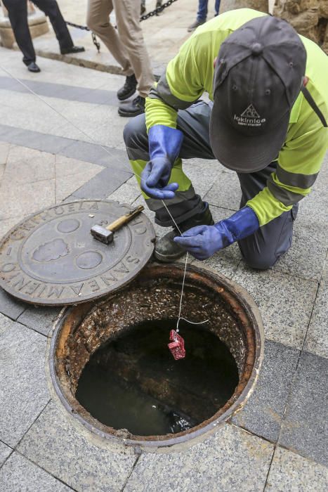 Plan de choque contra las plagas en Orihuela.