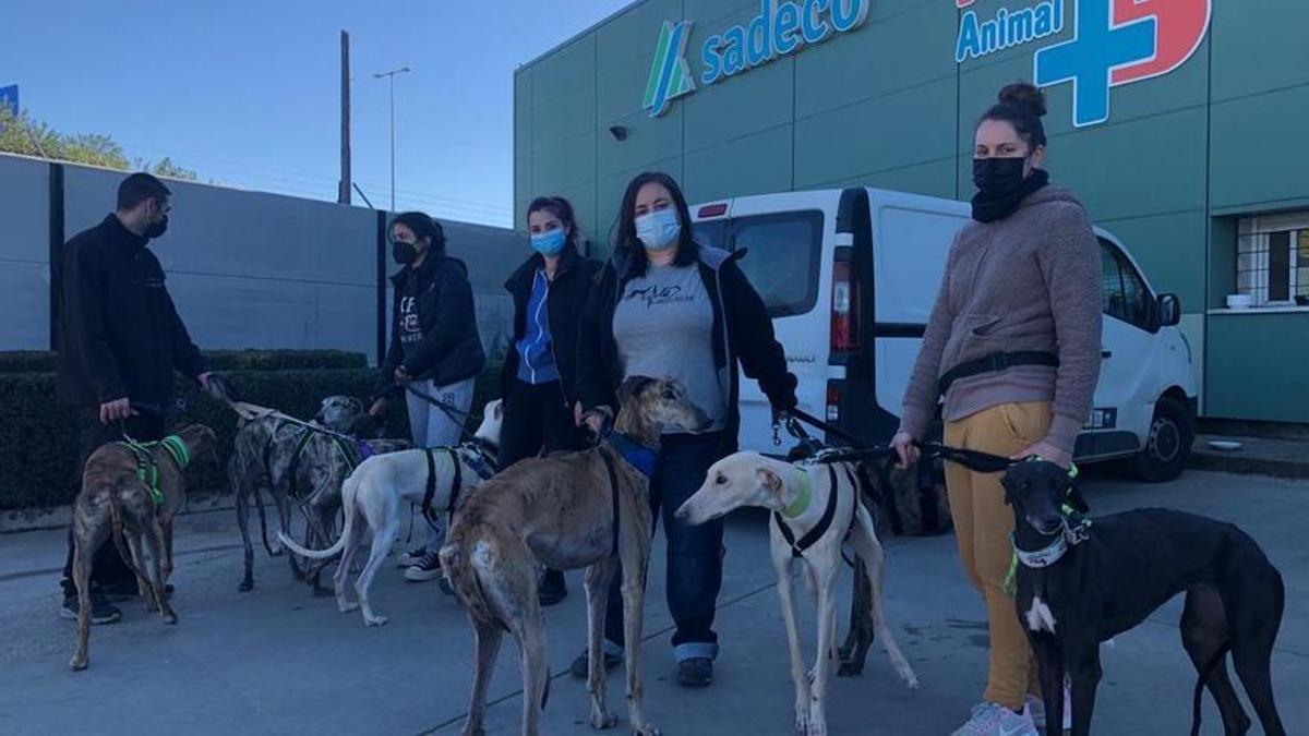 Integrantes de Galgos del Sur con varios perros rescatados a principios de años.