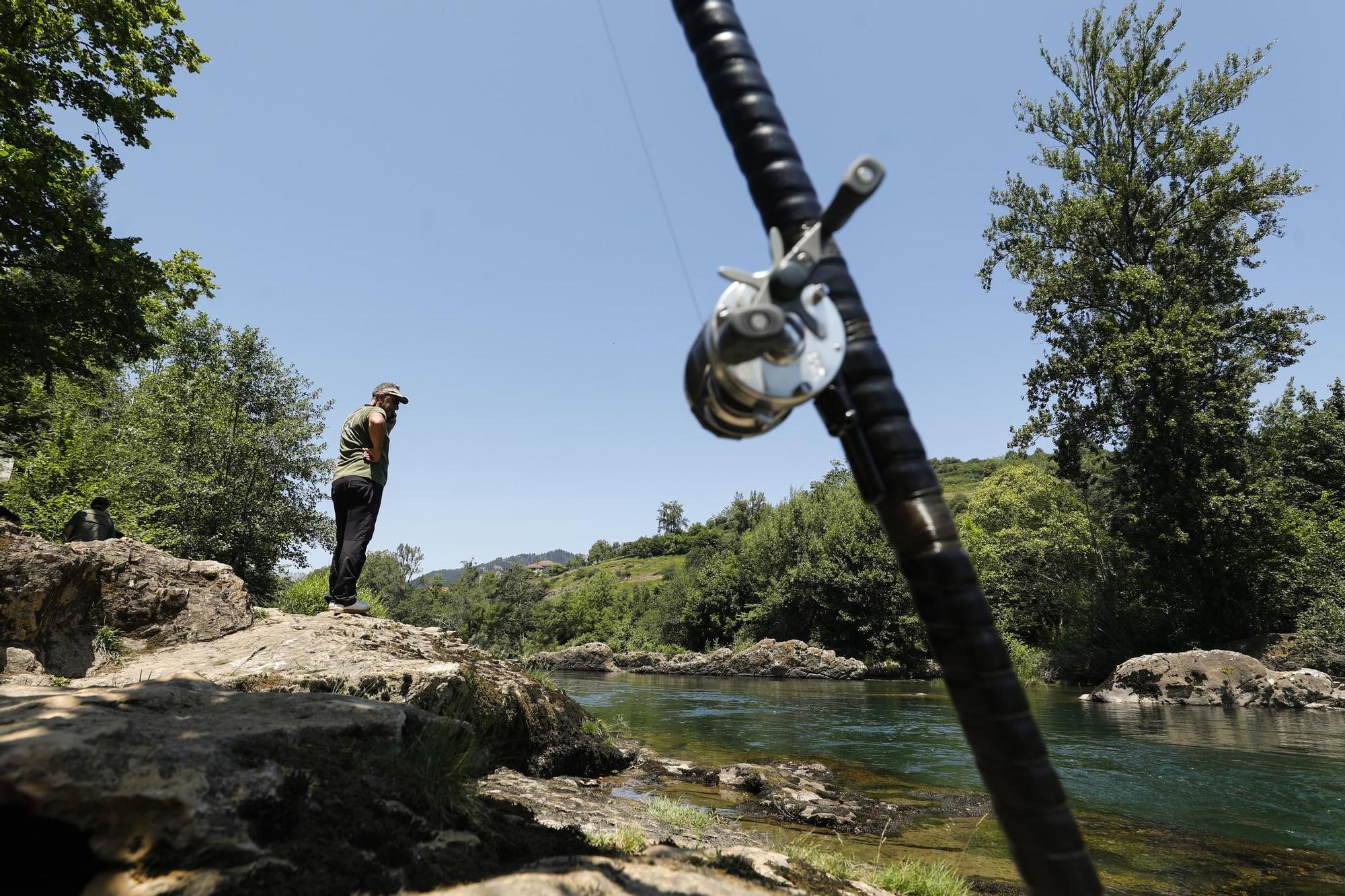 Temporada del salmón en Asturias: último día de pesca con cebo