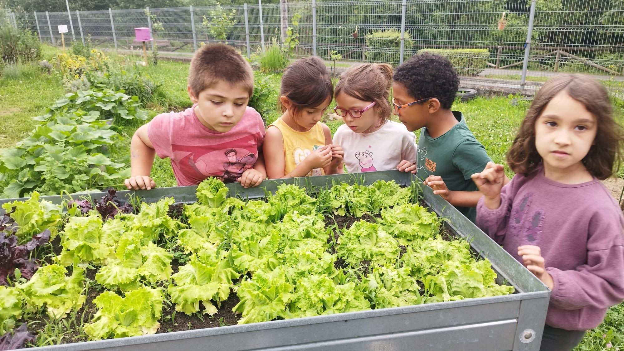 Medalla de Innovación para el huerto escolar del CEIP L'Ablanu de Infiesto