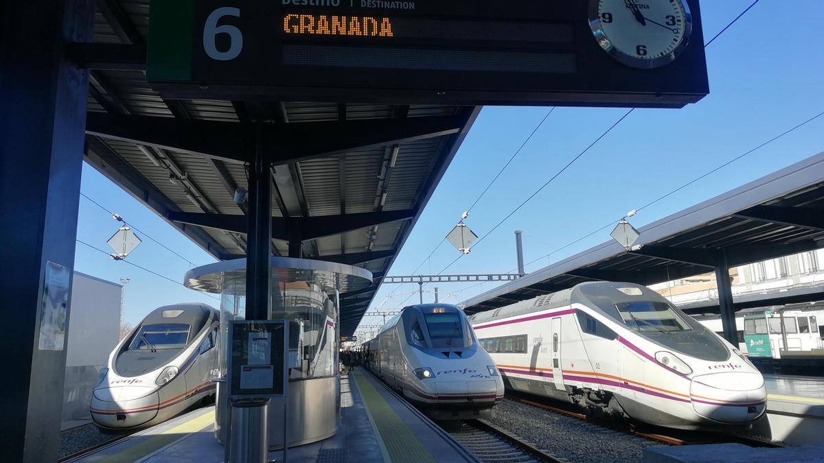 Varios trenes en andenes en la estación de Granada.