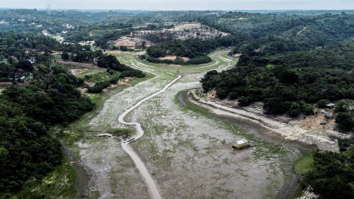 Imagen tomada hace unos días de la sequía que afecta al río Amazonas.