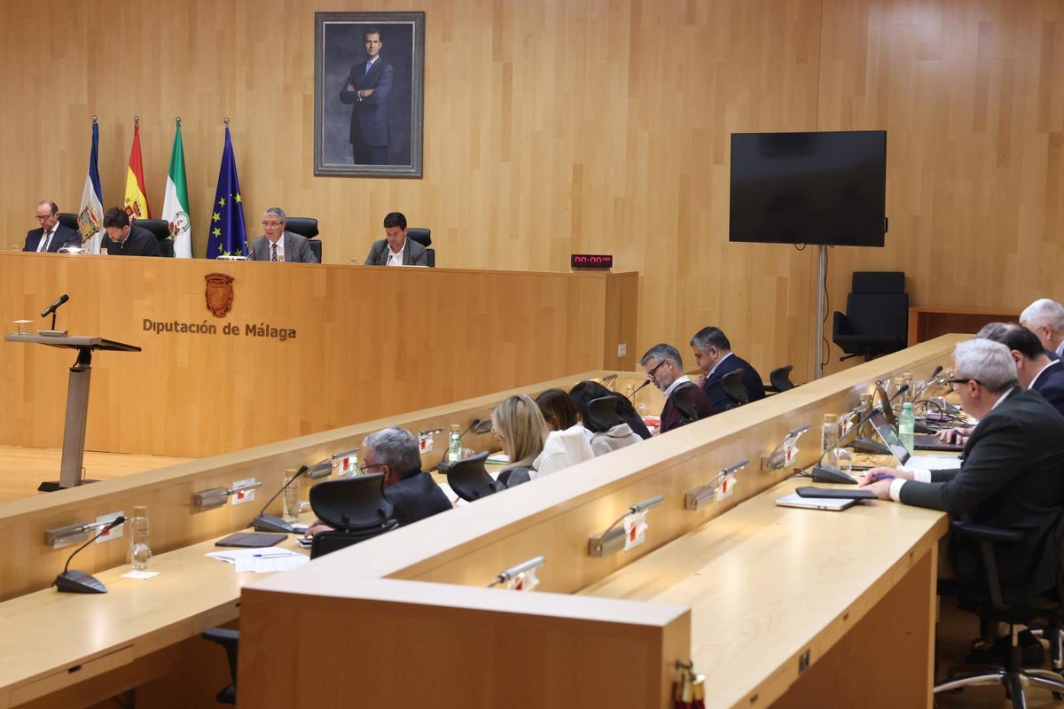 Un momento de la sesión plenaria ordinaria del mes de marzo de la Diputación de Málaga.