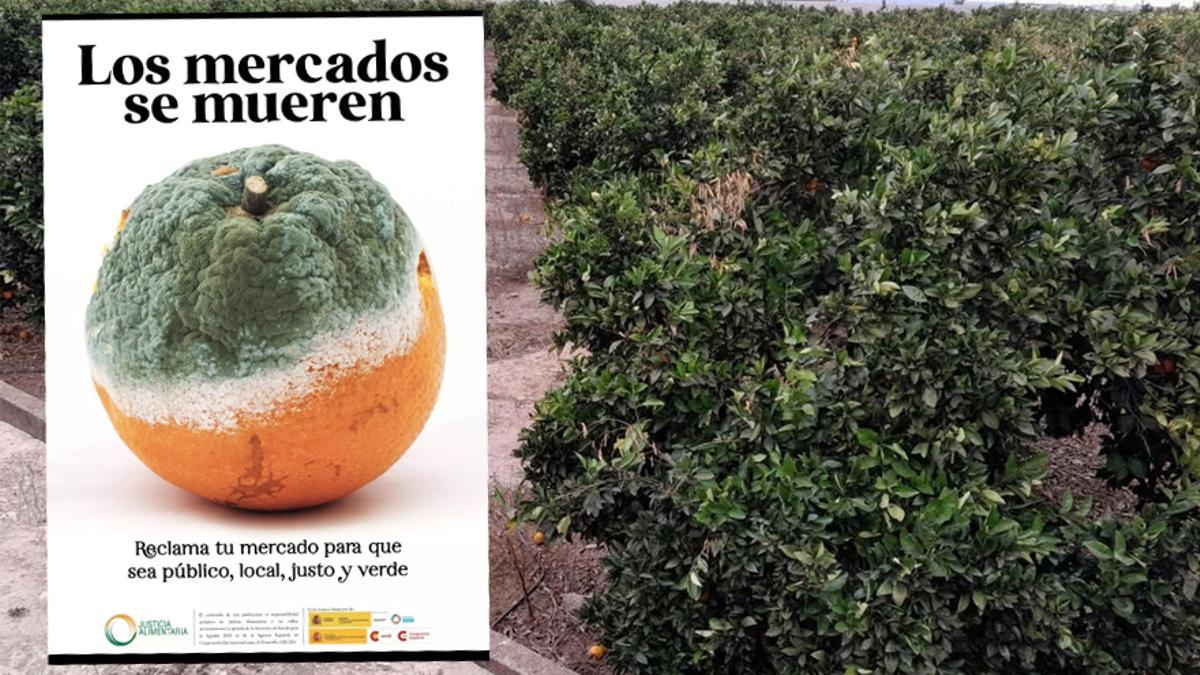 Polémica campaña publicitaria con una naranja podrida