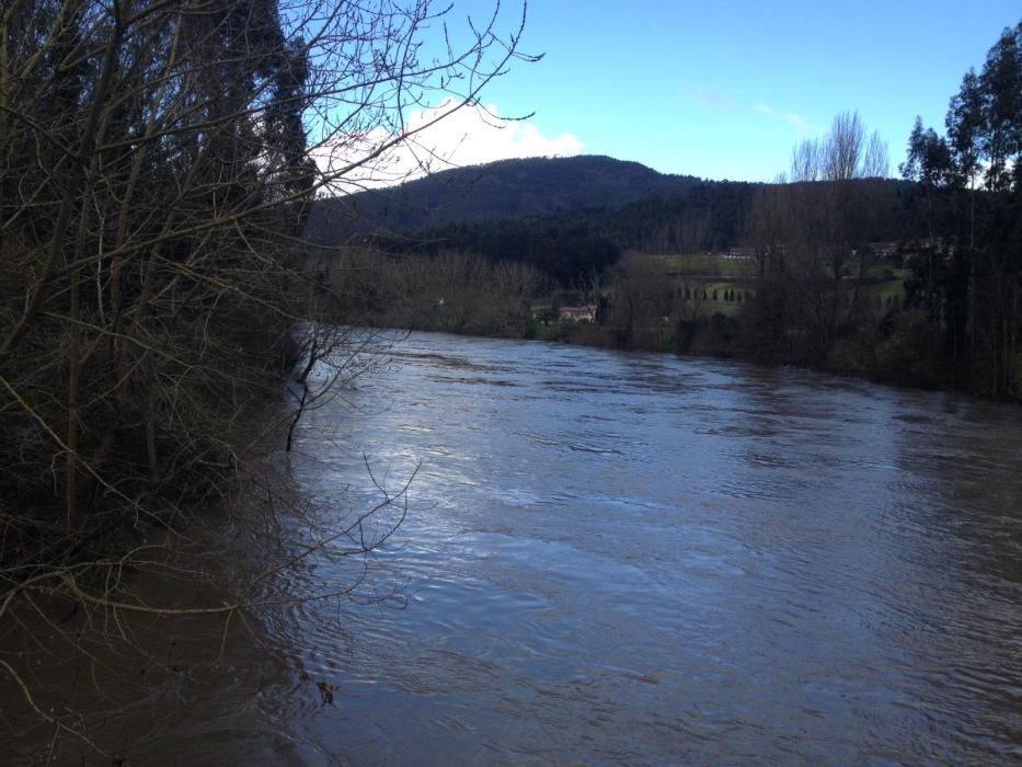 Los ríos Narcea y Nalón, muy crecidos en Pravia.