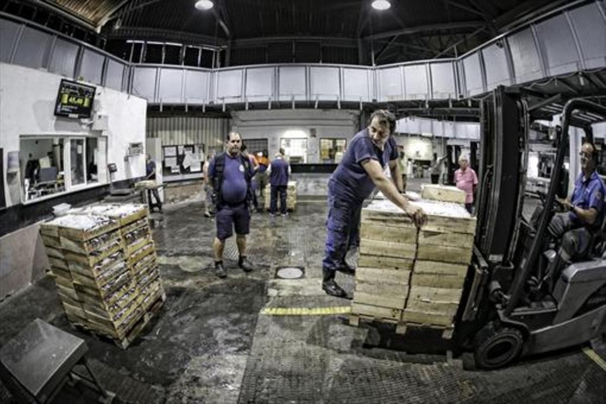 La calor redueix la pesca de sardines i propicia captures de gamba de Huelva a Catalunya