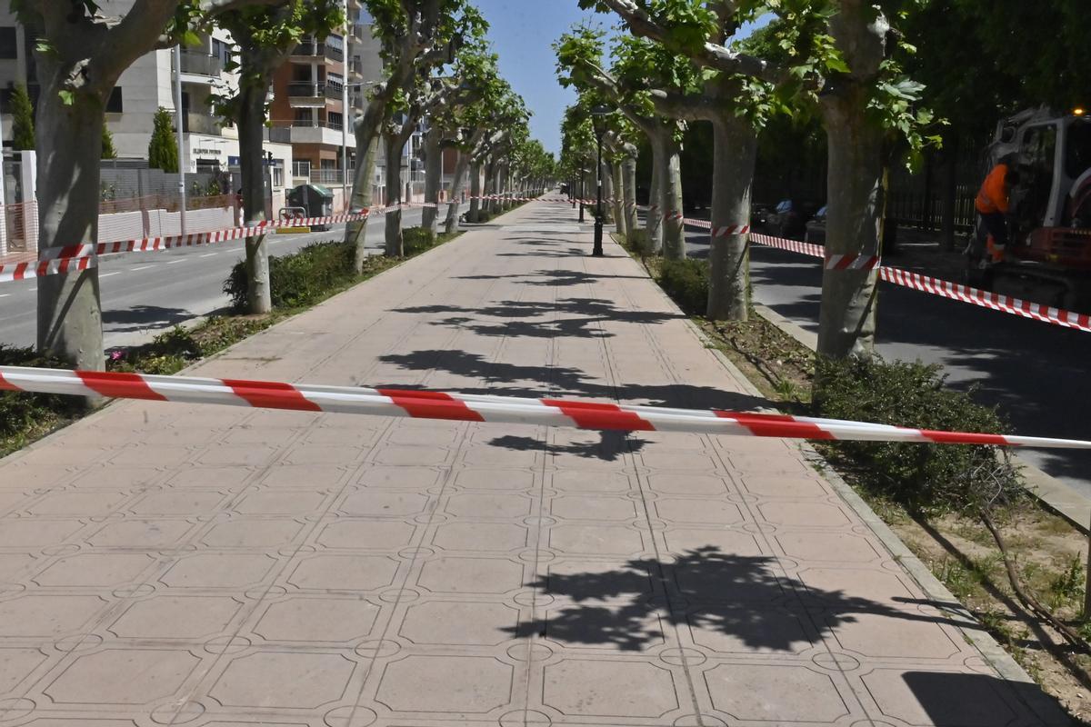 Tampoco se podrá pasear por el andén central del vial.