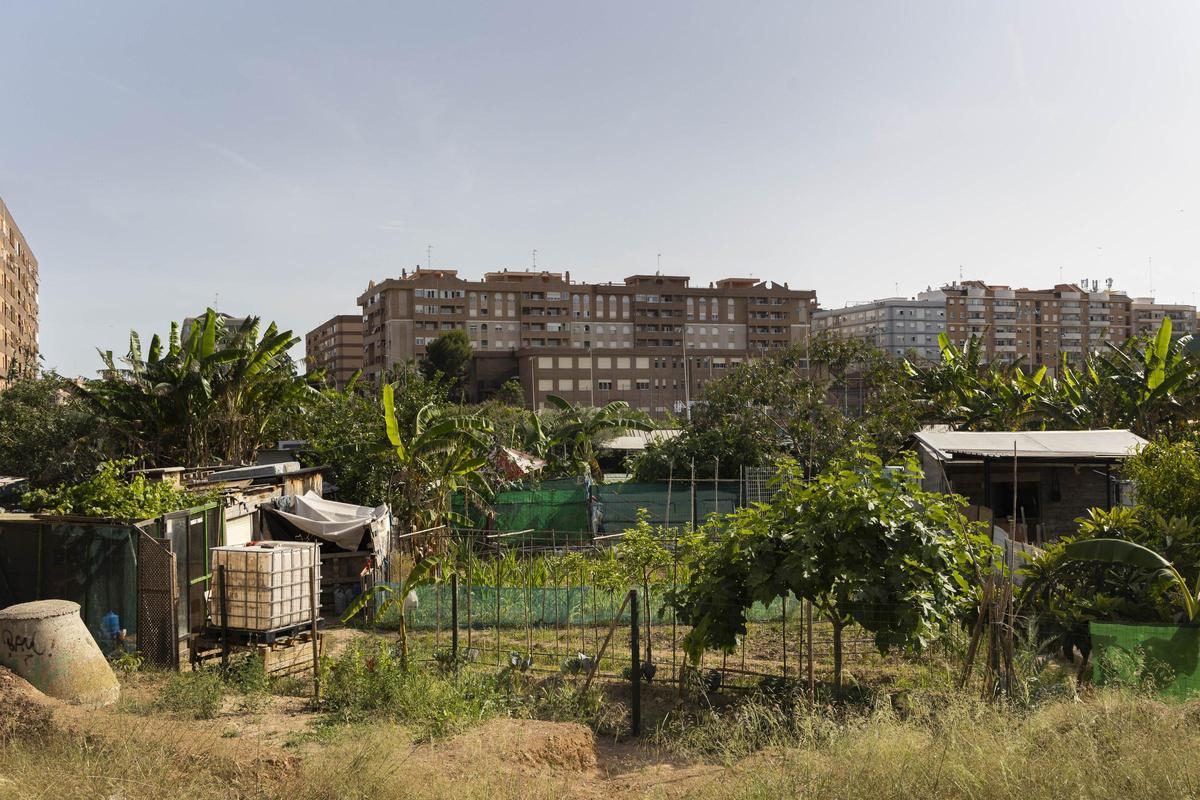 Huertos urbanos en el PAI de Benimaclet.