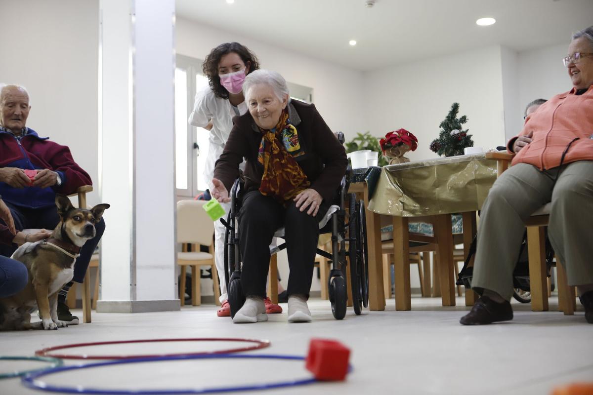 Frida, la perra de terapia asistida en una residencia de Zaragoza