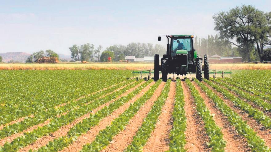 Una parte de la industria mejora su rendimiento con la agricultura ecológica, más rentable y con un mayor valor añadido