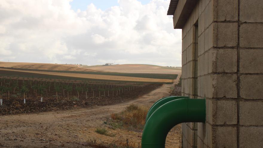 Dos empresas de Rabanales 21 desarrollan un proyecto para la optimización del uso del agua de regadíos