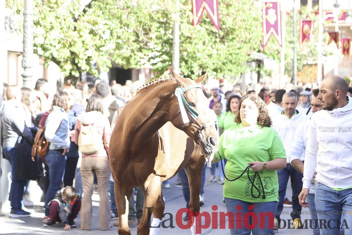 Concurso de caballo a pelo: pasacalles hasta el Hoyo en Caravaca