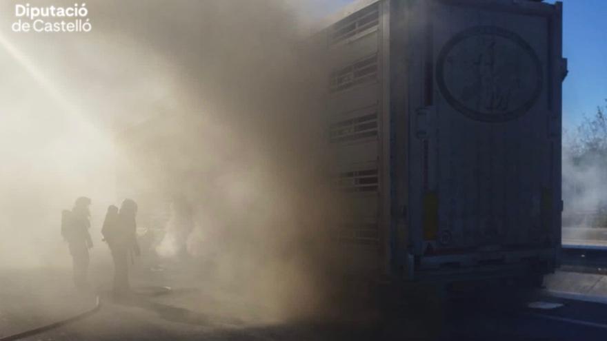 Mueren una veintena de lechones tras incendiarse un camión en Vinaròs