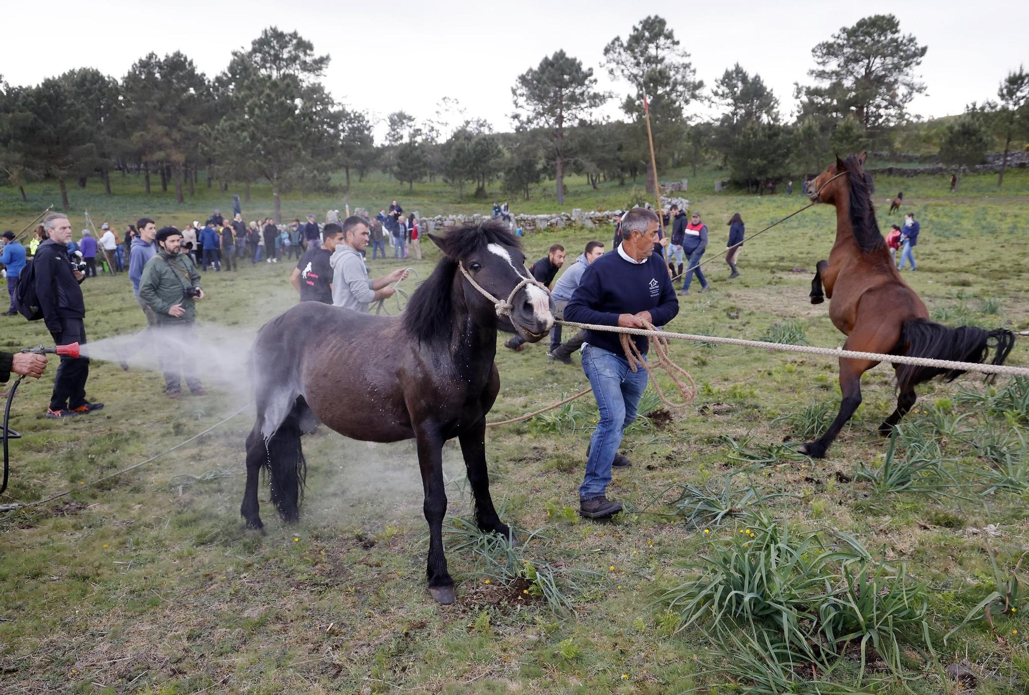 Valga inaugura la temporada de curros