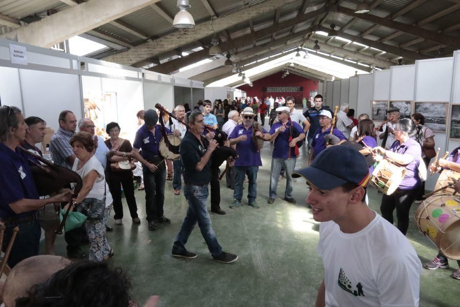 Fiesta de la Trashumancia en San Vitero