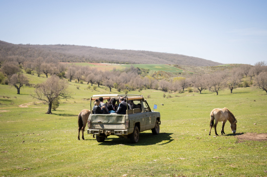 Safari del paleolítico, Planes otoñales por Burgos