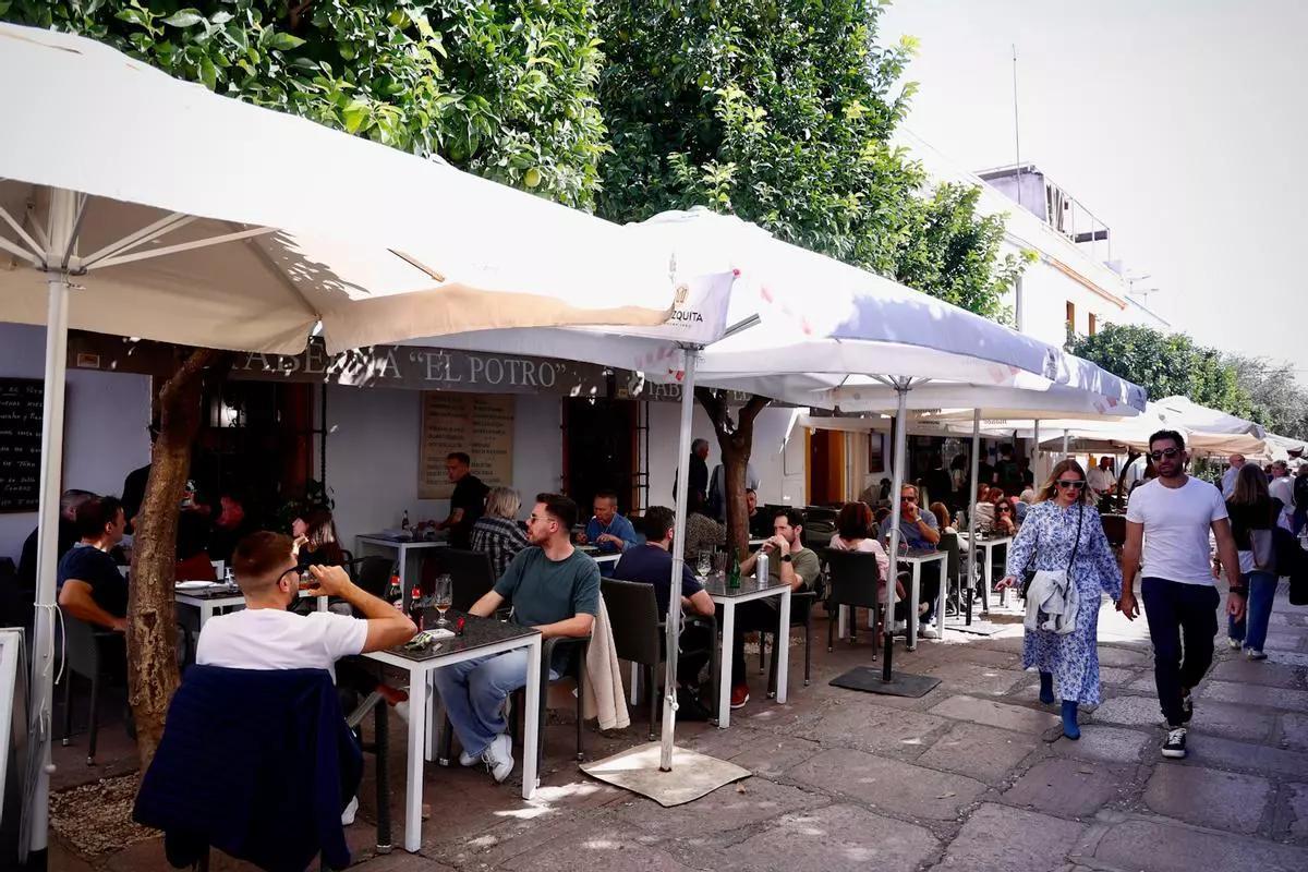 Cordobeses en una terraza de la ribera.