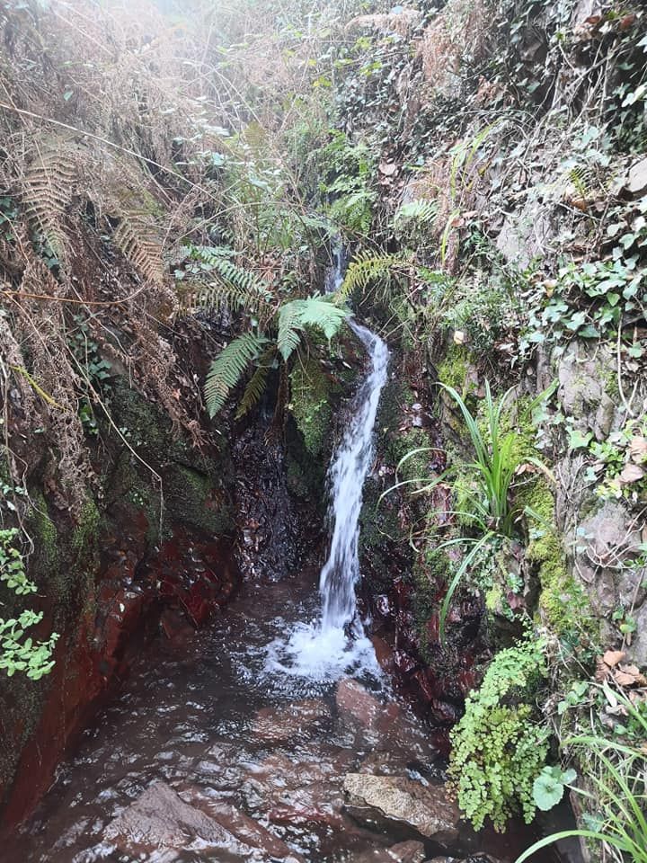 De Navajas a Ain, una ruta por las fuentes