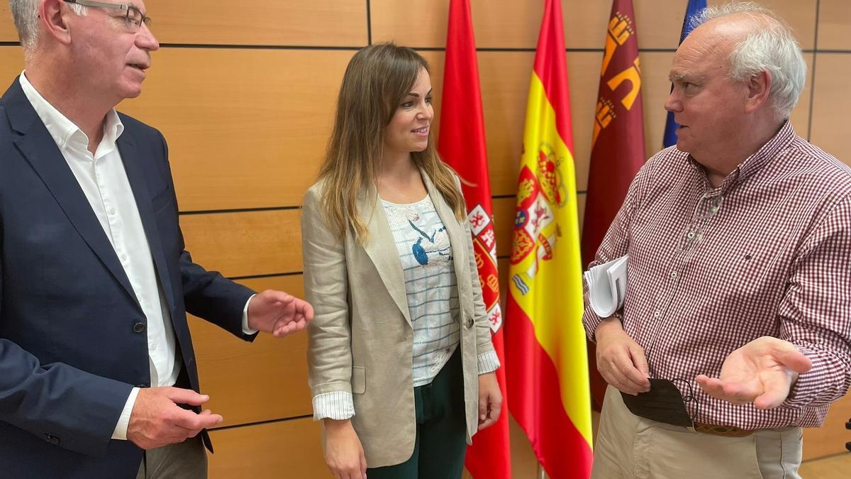 Los ediles del PP de Murcia, Navarro, Pérez y Martínez-Oliva