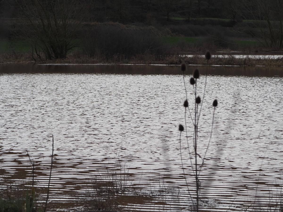 Imatges de l'estany de l'Estany (Moianès) i l'entorn Imatges de l'estany de l'Estany (Moianès) i l'entorn