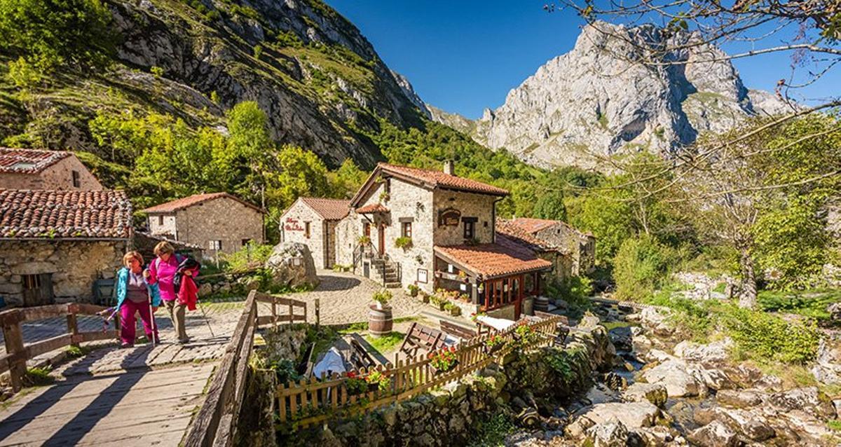Bulnes