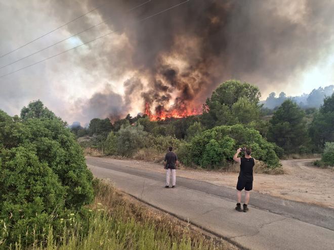 El viento y el calor extremo dificultan el control del incendio de Castellón
