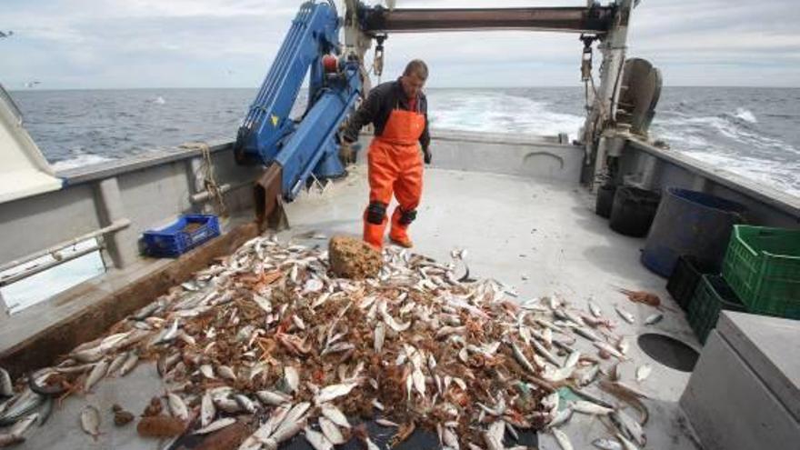 El Consell impulsa la pescaturismo con unas jornadas de divulgación