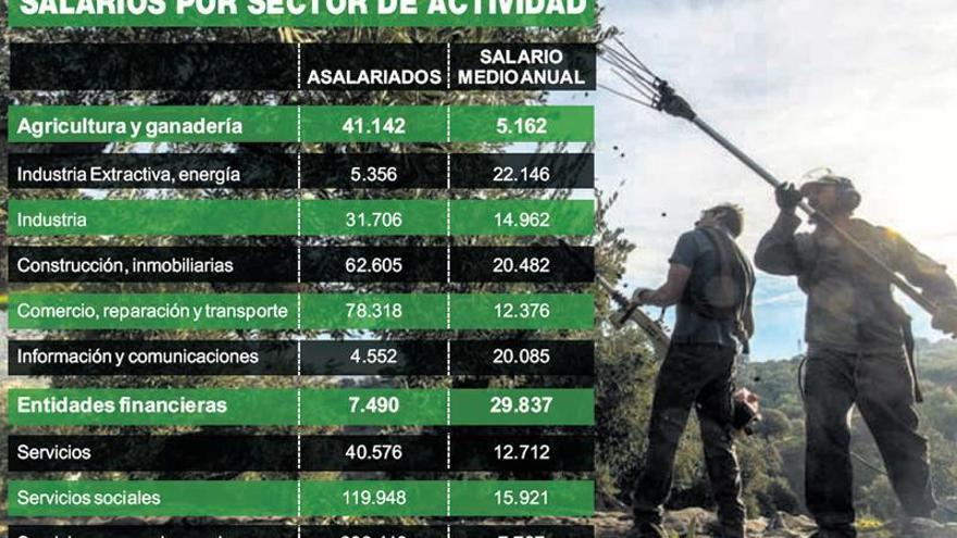 La diferencia de salarios por sectores roza los 25.000 euros en Extremadura