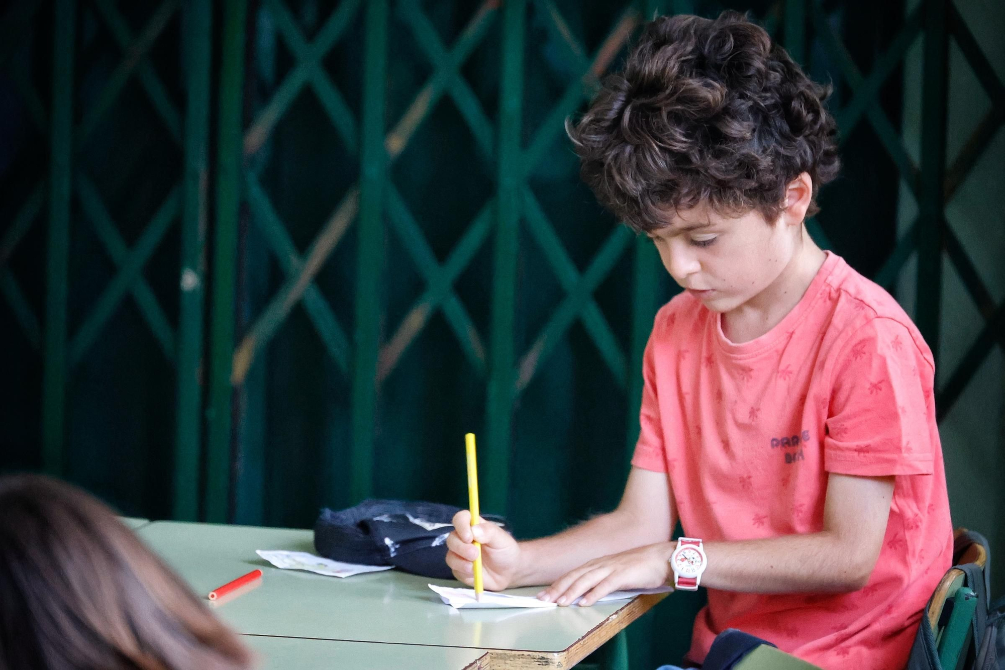 Escuelas de Verano de Santa Cruz