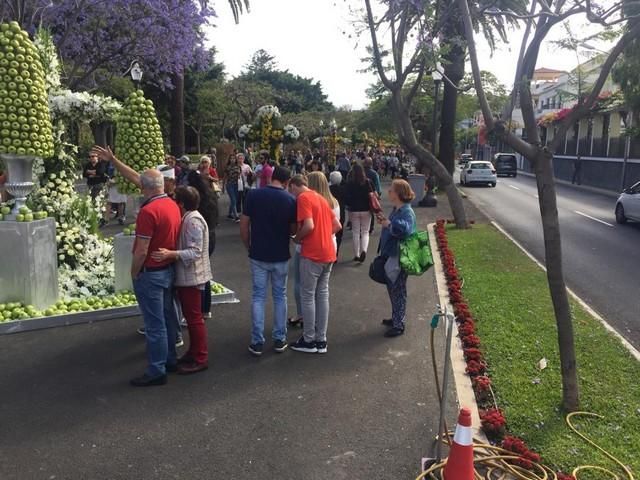 Concurso de Cruces de Flores Naturales