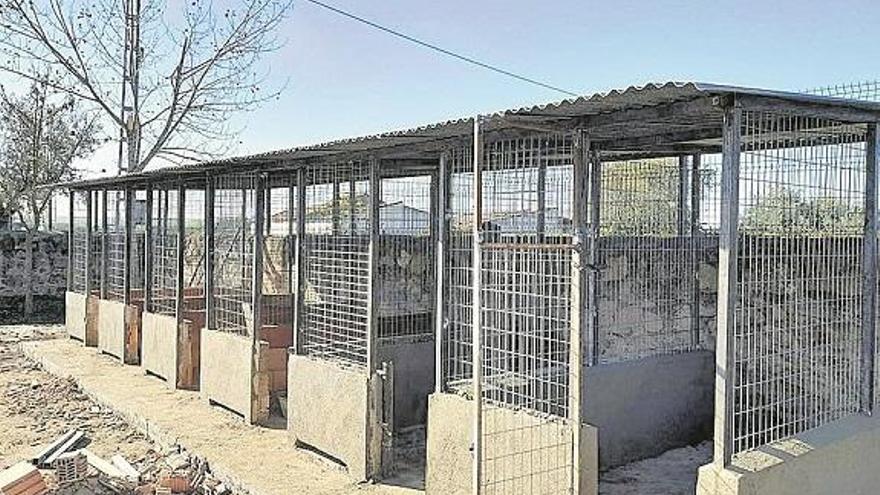 El Consistorio de El Viso hace un refugio para animales abandonados