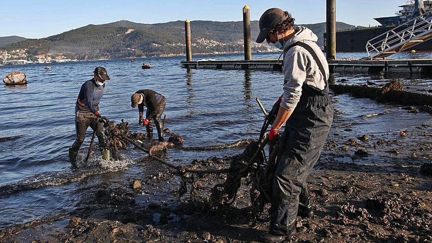Miembros de la Cofradía de Vigo retiraron basura de la playa de Ríos, en la ETEA.