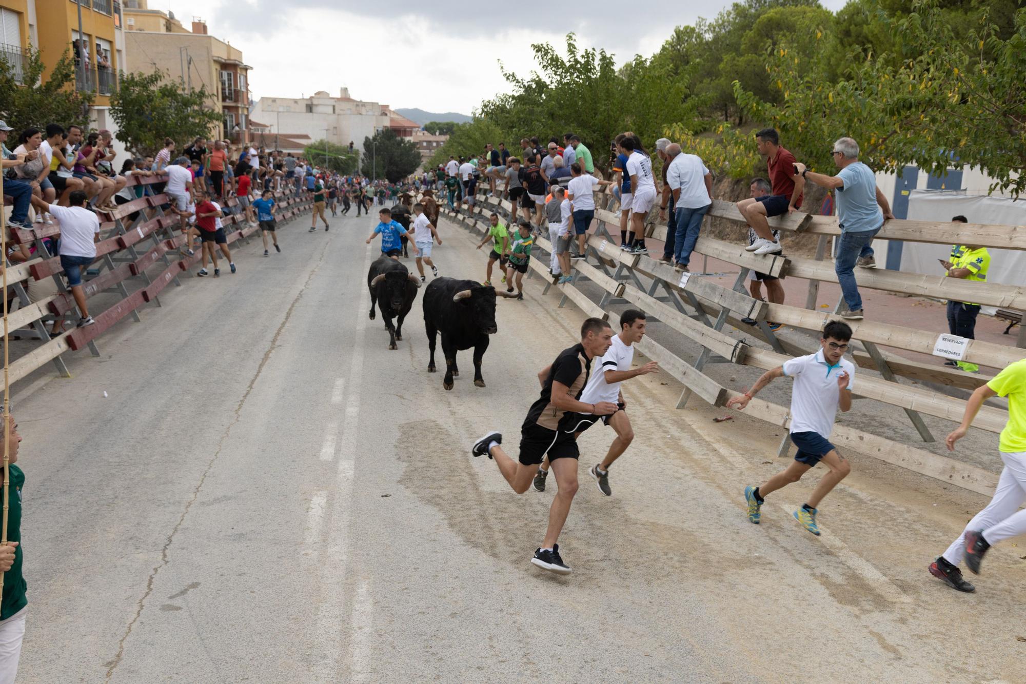 Tercer encierro de la Feria Taurina del Arroz en Calasparra