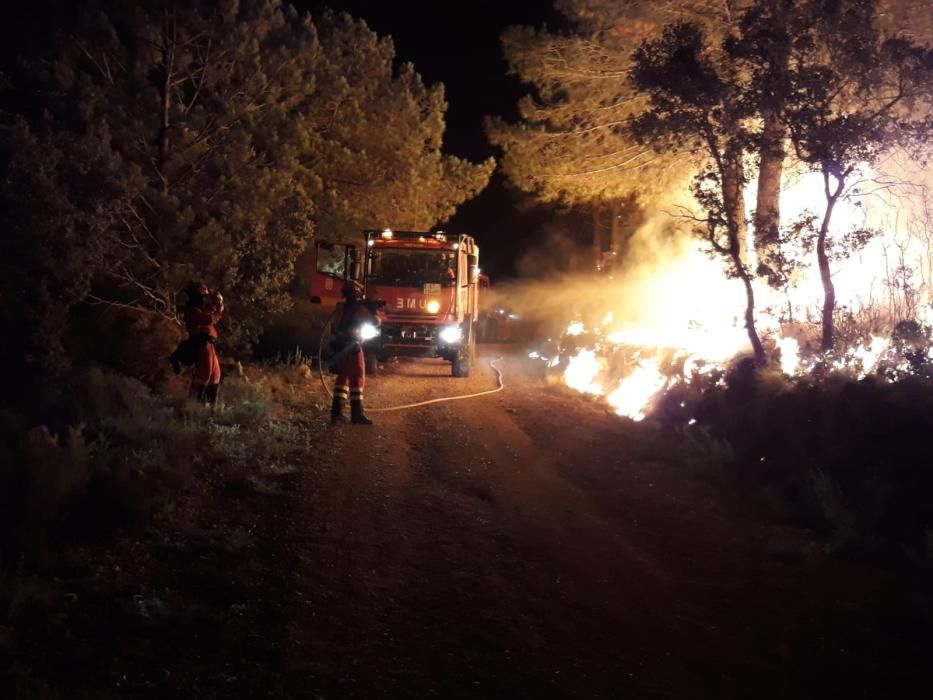 Incendio forestal en Llutxent