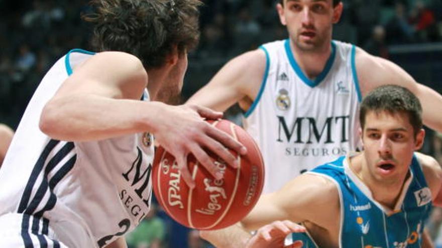 Tepic defiende a Sergio Llull.