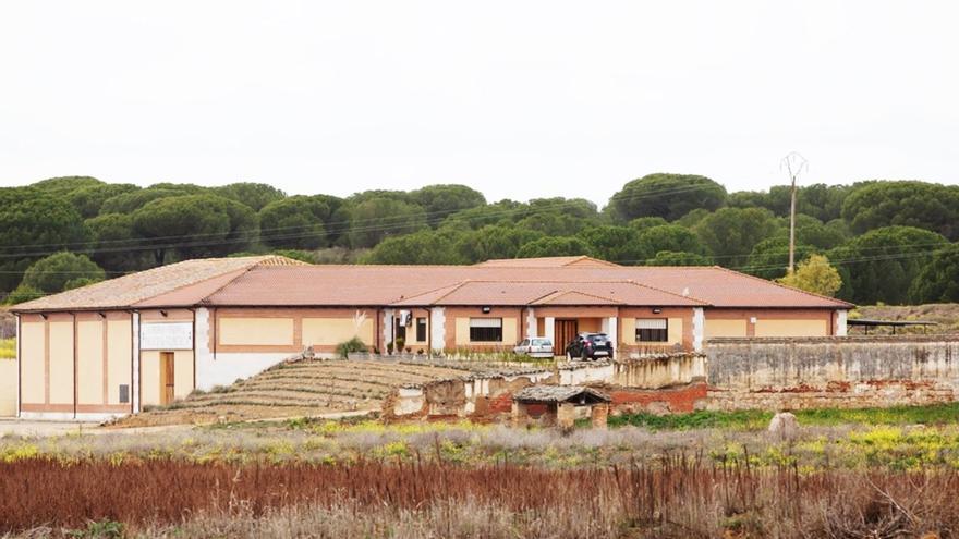 Una bodega de Toro suma tres &quot;Zarcillos de oro&quot;