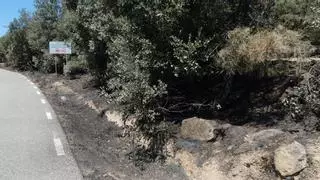 Els Mossos denuncien un jove de 19 anys per causar l'incendi de Pinell de Solsonès de primers de juliol