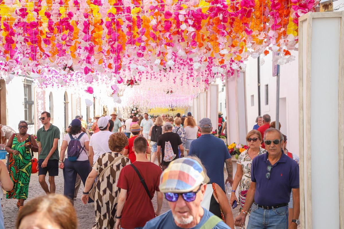 Fotogalería | Campo Maior se engalana con flores hasta el próximo domingo Fotogalería | Campo Maior se engalana con flores hasta el próximo domingo