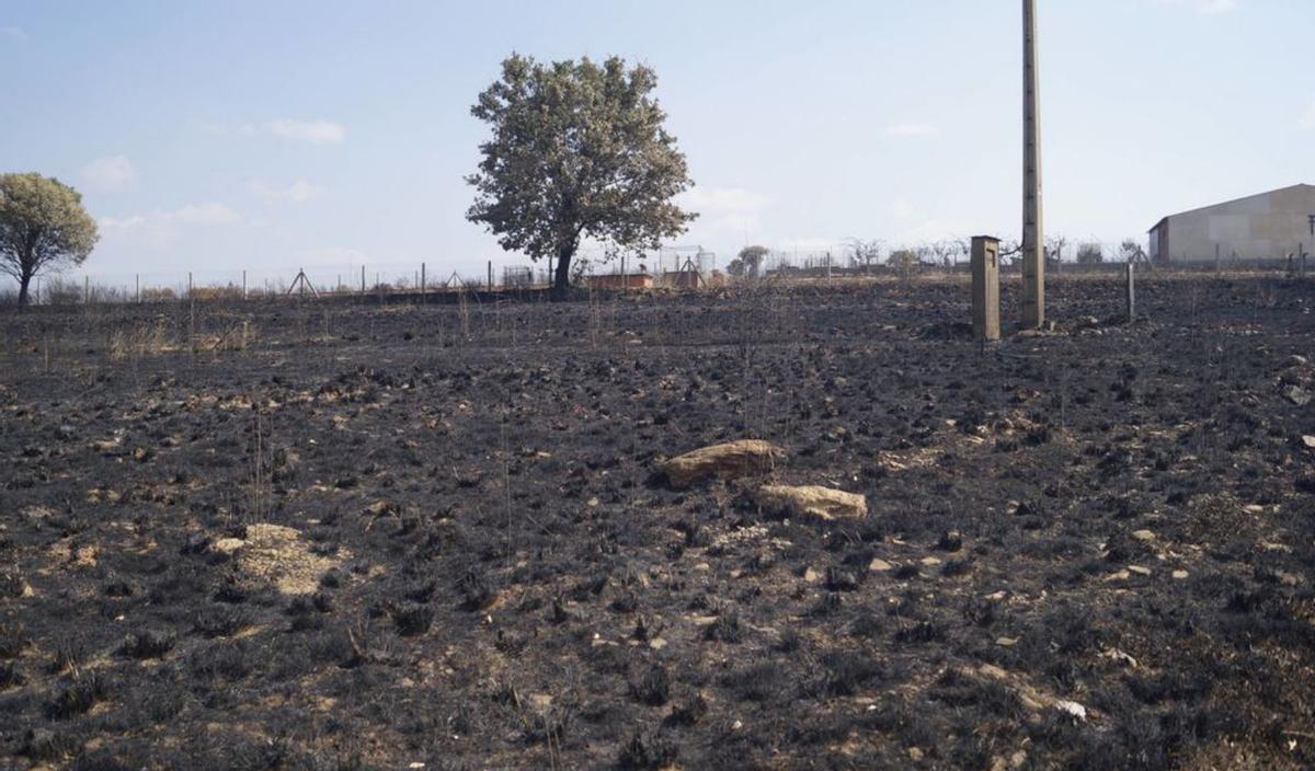 Riofrío de Aliste: un pueblo fundido a negro por segunda vez |