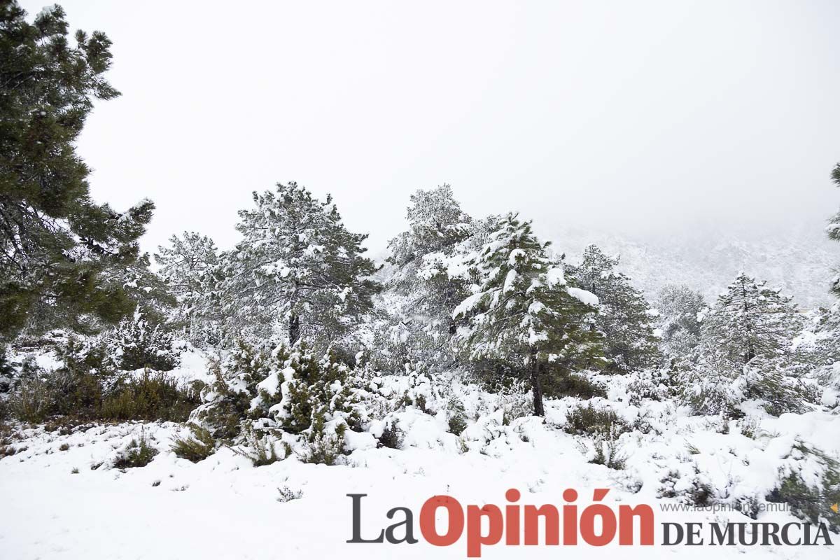 Continúa la nevada en las zonas altas de la comarca del Noroeste