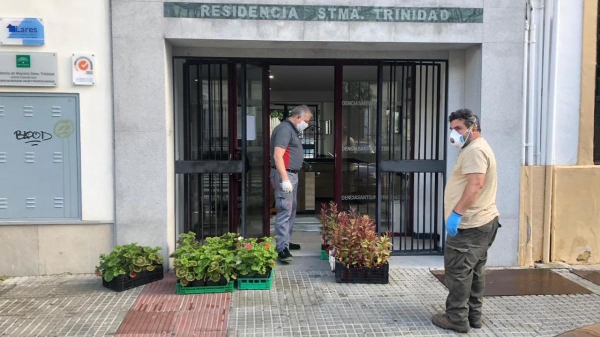 Coronavirus en Córdoba: el Jardín Botánico reparte plantas en residencias y sedes de colectivos sociales