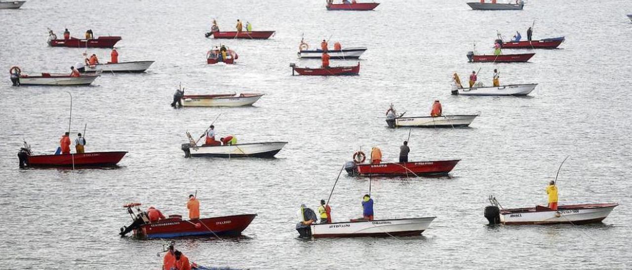 Barcos participantes en la campaña de libre marisqueo desplazados al banco de O Bohído. // Noé Parga